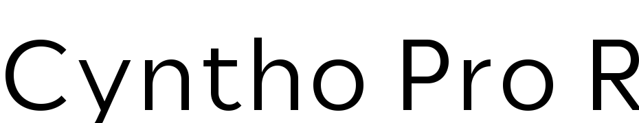 Cyntho Pro Regular cкачати шрифт безкоштовно